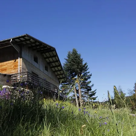 Le Chalet De Valentine * Ventron