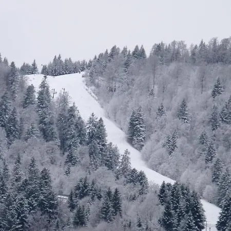 Le Chalet De Valentine Bed & Breakfast Ventron